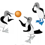 Stratégies pour mieux réussir à la maison…